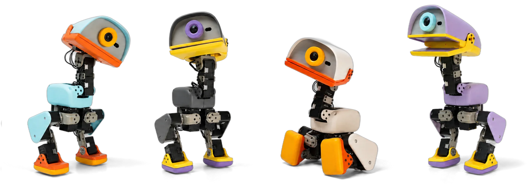 Micro Duck Project Image