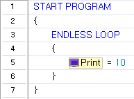 section example
