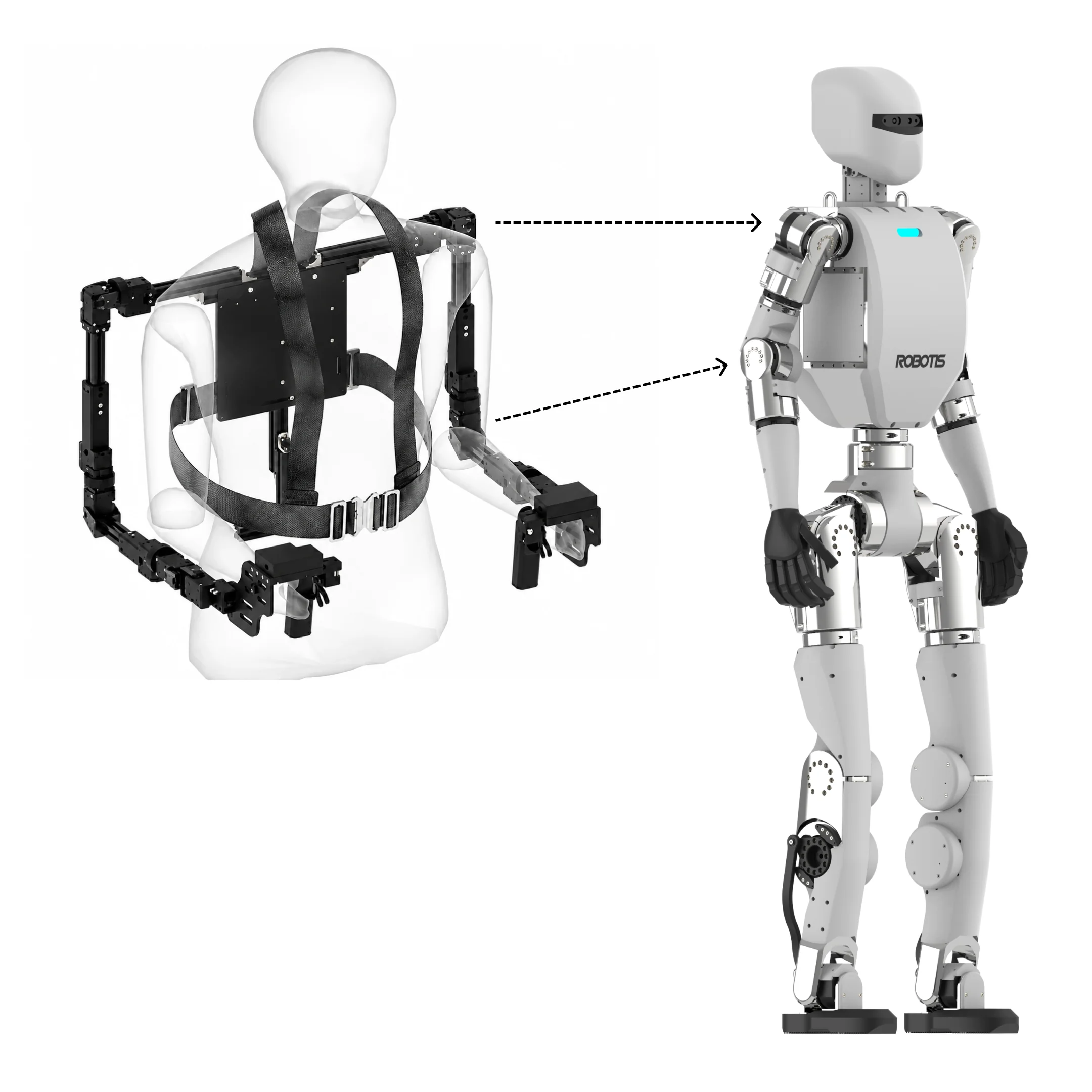 AI Sapiens imitation learning workflow